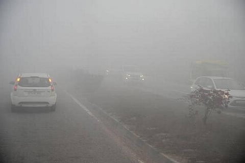 கோவை, நீலகிரியில் 2 நாட்களுக்கு உறைபனி நிலவும்﻿