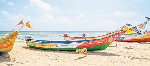 அன்றாட வாழ்வில் வேதியியல் 18: பலசாலி போரான்