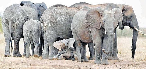 மூன்றாவது கண்: தேடலுக்கு ஏது ஓய்வு?