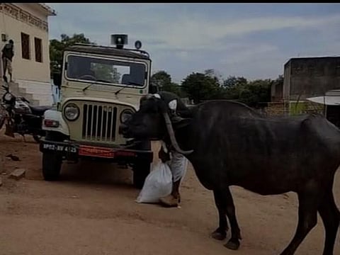 லஞ்சப் பணத்திற்கு பதிலாக அதிகாரி எனது எருமையை வைத்துக் கொள்ளட்டும் -  ஜீப்பில் எருமையை கட்டிப் போட்ட பரிதாப விவசாயி