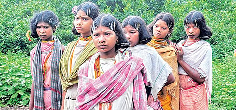 பழங்குடிகள் இல்லாத வனம் பாலைவனமே!