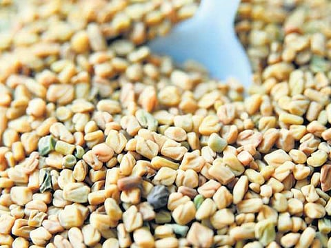 சீரகம் உற்பத்தி அதிகரிப்பு