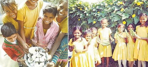 இந்தியாவின் முதல் விவசாயப் பள்ளி
