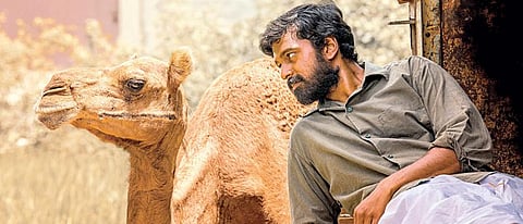 கோழியை சிக்கனாகவும் ஆடுகளை மட்டனாகவும் பார்க்கிறோம்!- ‘பக்ரீத்’ பட இயக்குநர் ஜெகதீசன் சுபு நேர்காணல்