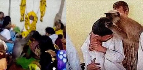துக்க வீடுகளுக்குச் சென்று உறவினர்களை கட்டிப்பிடித்து ஆறுதல் கூறும் அதிசய குரங்கு: வைரலாகும் காணொலி