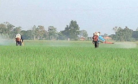 இயற்கை விவசாயத்துக்கு உரம் சேர்ப்பவர்