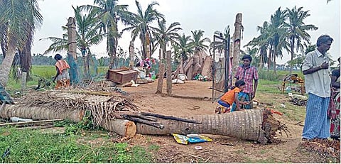 கஜா புயலில் வீடுகளை இழந்தவர்களுக்கு நிவாரணம் வழங்க முடிவெடுக்க வேண்டும்: தமிழக அரசுக்கு உயர் நீதிமன்றம் உத்தரவு