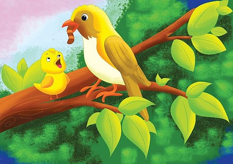 கதை: பறவை விஞ்ஞானி!