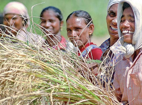எது இயற்கை உணவு 11: வேளாண்மையில் பெண்கள் இருக்கிறார்களா?