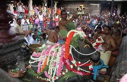 பிரதோஷமும் ராகுகாலமும்... மகா விசேஷம்!
தோஷம் விலகும்; சந்தோஷம் பெருகும்!