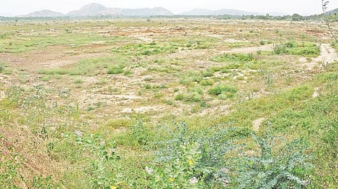 கிருஷ்ணகிரி அருகே உள்ள பெரிய ஏரியான படேதலாவ் ஏரி நீரின்றி வறண்டு காட்சியளிக்கிறது.