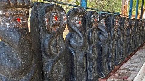 ராகு - கேது தோஷம் போக்கும் நாக சதுர்த்தி இன்று! 