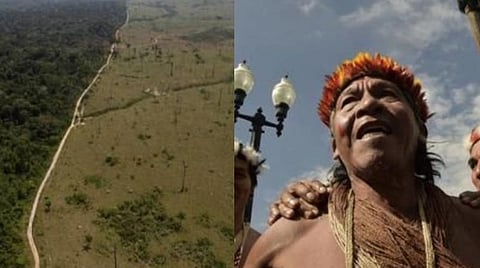 அழிக்கப்படும் அமேசான் மழைக்காடுகள்:  பேராபத்தில் பூர்வகுடிகள் 
