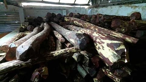 ''லாரிக்கு காய்கறி மூட்டை; கப்பலுக்கு பனியன் பார்சல்''- திருப்பூரில் பிடிபட்ட ரூ. 5.17 கோடி மதிப்புள்ள செம்மரங்கள்