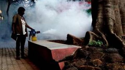 தமிழகத்தில் மீண்டும் பரவுகிறது டெங்கு காய்ச்சல்: தடுப்பு நடவடிக்கைகள் தீவிரம் 