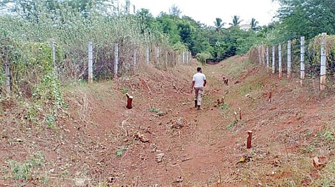 மதுரை அருகே பிளாட்டுகளாக மாறிய பாசன கால்வாய்﻿; ﻿சிஐஎஸ்எப் வீரர்கள் தூர்வாரும் பணியின்போது தெரியவந்தது﻿