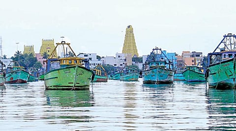 வேலைநிறுத்தப் போராட்டத்தை முன்னிட்டு ராமேசுவரம் மீன்பிடி துறைமுகத்தில் நிறுத்தப்பட்டுள்ள விசைப்படகுகள்.