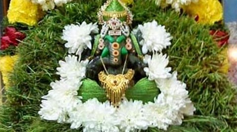 அருகம்புல் மகிமை - விநாயக சதுர்த்தி ஸ்பெஷல்