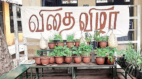 விதைகள் குறித்து விழிப்புணர்வு வேண்டும்