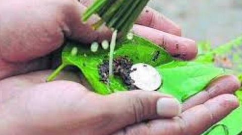 பித்ரு வழிபாட்டில்... ஏழு முக்கியப் பொருட்கள்! 