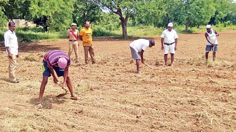 கோவையில் புதிய திறந்தவெளிச் சிறைச்சாலை: மாநிலம் முழுவதும் 8 சிறைகளில் அமைகிறது; விவசாயப் பணி மேற்கொள்ள முடிவு 