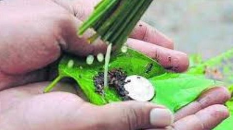 மகா பரணி தர்ப்பணம்; புரட்டாசி மாத தர்ப்பணம் -  பித்ரு ஆராதனை, தானம் மறக்காதீங்க! 