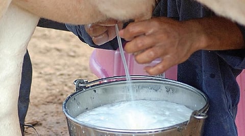 தரமான பால் உற்பத்திக்கான வழிமுறைகள்