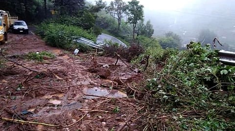 நீலகிரியில் மீண்டும் தொடங்கிய கனமழை: மரம் விழுந்து இளைஞர் பலி