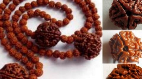 ஐந்து முக ருத்ராட்சம்... யாரெல்லாம் அணியலாம்? 