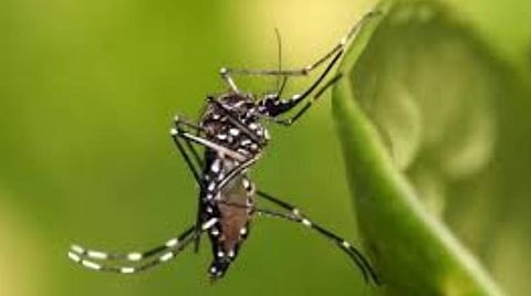பிரதிநிதித்துவப் படம்