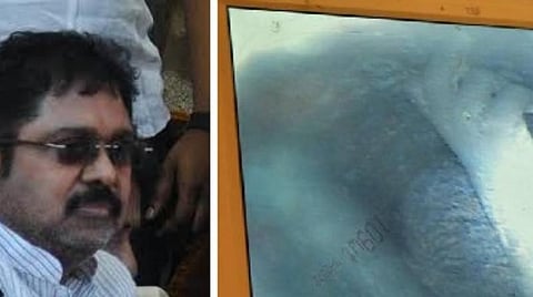 தினகரன் - குழந்தையின் கைகள்