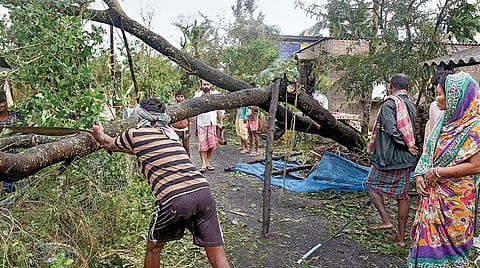‘புல்புல்' புயல் கரையை கடந்தபோது ஏற்பட்ட சூறைக்காற்று மற்றும் கனமழை காரணமாக மேற்கு வங்கத்தின் வடக்கு 24 பர்கானாஸ் மாவட்டத்தில் சாய்ந்துள்ள மரங்களை அப்புறப்படுத்தும் அப்பகுதி மக்கள். படம்: பிடிஐ