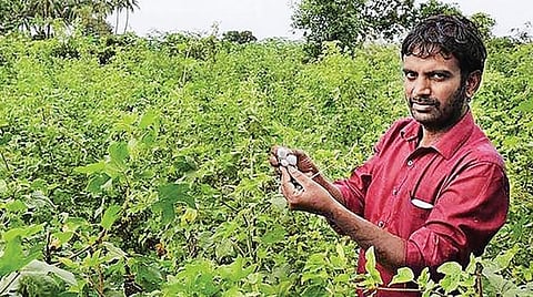 விதை முதல் விளைச்சல் வரை 09: இயற்கை வேளாண்மை, கரிம வேளாண்மை - ஓா் அறிமுகம்