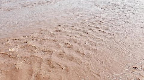வைகை ஆற்றில் மூழ்கி சகோதரர்கள் இருவர் உயிரிழப்பு: நீரில் சிக்கியவர்களைக் காப்பாற்றச் சென்றபோது சோகம்