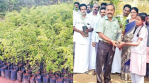 கொத்தமங்கலத்தில் திருவரங்குளம் ஊராட்சி ஒன்றிய நிர்வாகத்தின் சார்பில் உற்பத்தி செய்யப்பட்டுள்ள மரக்கன்றுகள். (அடுத்த படம்) சேந்தன்குடி அரசு உயர்நிலைப் பள்ளி மாணவர்களுக்கு மரக்கன்று வழங்குகிறார் திருவரங்குளம் ஒன்றிய வட்டார வளர்ச்சி அலுவலர் கோகுலகிருஷ்ணன்.படங்கள்: கே.சுரேஷ்