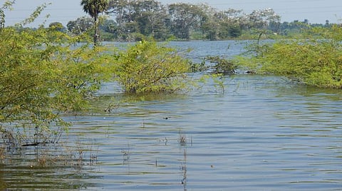 காஞ்சிபுரம் அருகே சாயப்பட்டறை கழிவுகள் கலப்பதால் மாசடைந்த வையாவூர் ஏரி நீர்.