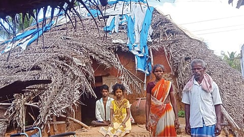 ஒரத்தநாடு அருகே வெட்டுவாக்கோட்டை சத்திரப்பட்டியில் கஜா புயலில் சேதமடைந்த குடிசை வீட்டில் வசித்து வரும் கூலித் தொழிலாளி நடராஜனின் குடும்பத்தினர்.