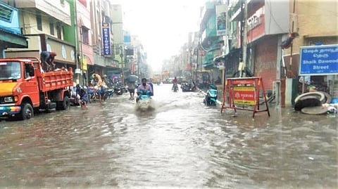 படம்: எல்.சீனிவாசன்