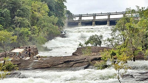பாபநாசம் காரையாறு அணை நிரம்பியதால் உபரி நீர் ஷட்டர் வழியாக திறந்து விடப்பட்டுள்ளது.﻿﻿﻿﻿﻿﻿﻿