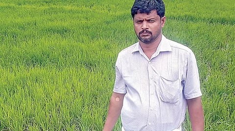 வெளிநாட்டில் மாதம் ரூ.4 லட்சம் சம்பாதித்தவர் தாயகம் திரும்பியதும் இயற்கை விவசாயம் 