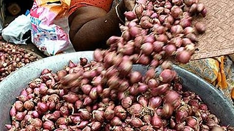 விதைப்பதற்காக விவசாயி வைத்திருந்த 300 கிலோ சின்ன வெங்காயம் திருட்டு﻿: ﻿புகாரின்பேரில் மர்ம நபர்களை தேடும் போலீஸார்﻿