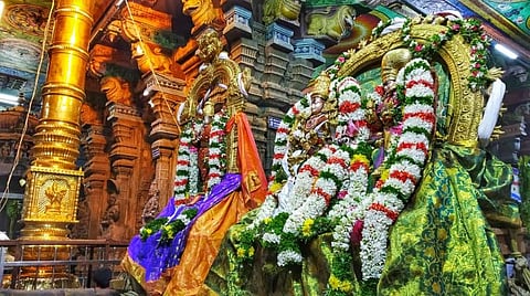 படம்: எஸ்.கிருஷ்ணமூர்த்தி