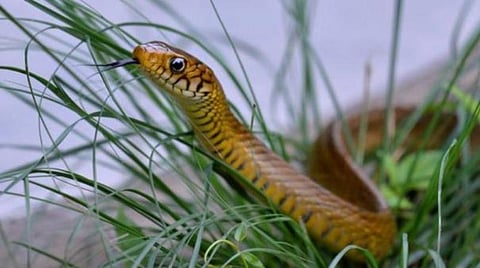 கோப்புப்படம்
