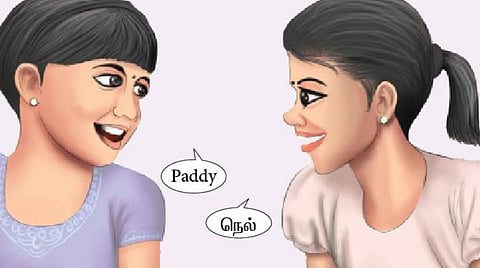 குறுக்கெழுத்துப் புதிர் 