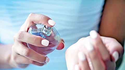 சுலபத்தவணையில் சிங்காசனம்-9: வாசனை பிடித்தால் வருமானம்!