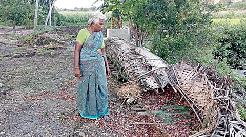 பெரம்பலூர் அருகே செங்குணம் கிராமத்தில் சின்ன வெங்காயம் திருடு போன வெங்காயப் பட்டறை.