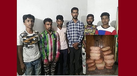 கஞ்சா விற்பனைக்காக சென்னைக்கு வரவழைப்பு; விடுதியில் போலீஸ் சோதனையில் 6 இளைஞர்கள் கைது: 1 கிலோ கஞ்சா பறிமுதல் 