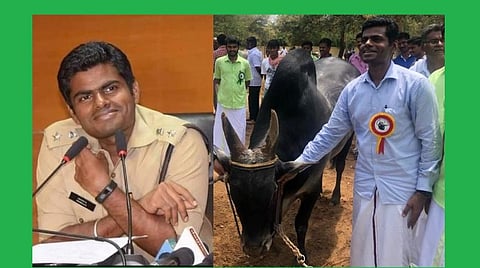 விவசாயம் செய்யும் ஐபிஎஸ் அதிகாரி: சமுதாயப் பணிக்காக பதவியை உதறித் தள்ளிய அண்ணாமலை; பின்னணி என்ன?