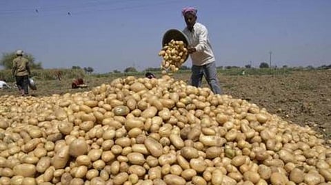 வெங்காயத்தை தொடர்ந்து உருளைக்கிழங்கு விலையும் உயர்வு