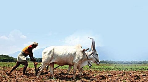 கோப்புப்படம்